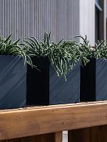 Кашпо Fiberstone fleur l black L25 W25 H25 см