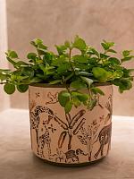 Кашпо Designed by lammie pot safari wildlife D7 H6 см