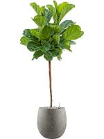 Кашпо Grigio balloon natural concrete D42 H42 см