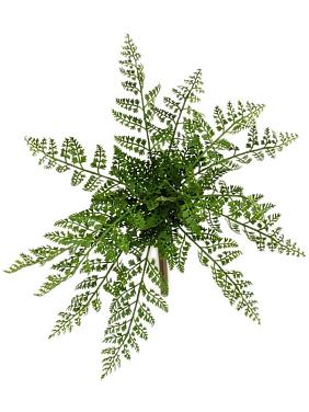 Папоротник Румора куст искусственный