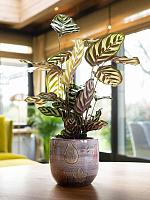 Кашпо Olaf pot autumn D12 H12 см