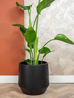 Кашпо Norell pot black D32 H30 см