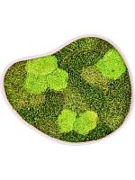 Картина из мха organic frame #3 sand mos (mix) L40 W35 H5 см