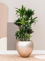 Кашпо Baq metallic silver leaf couple matt light champagne (с техническим горшком) D60 H55 см Кашпо Baq metallic silver leaf couple matt light champagne (с техническим горшком) D60 H55 см