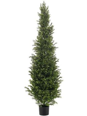 Кедр уличный искусственный