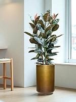 Кашпо Baq gradient cylinder matt honey (met inzetbak) D40 H60 см