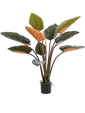 Филодендрон Империал Ред в горшке искусственный