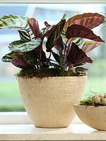 Кашпо Ryan planter shiny sand L33 W16 H25 см