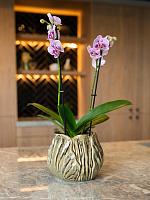 Кашпо Flora pot powder taupe D20 H17 см Кашпо Flora pot powder taupe D20 H17 см