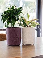 Кашпо Otium mensa violet cork D20 H24 см Кашпо Otium mensa violet cork D20 H24 см