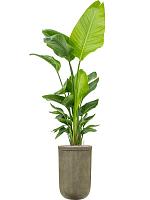 Кашпо Baq vertical rib cylinder green D37 H57 см