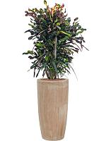 Кашпо Terra cotta partner D36 H70 см Кашпо Terra cotta partner D36 H70 см