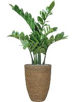 Кашпо Bohemian ben m straw grass D30 H41 см