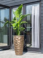 Кашпо Cascara partner relief sepia D52 H95 см