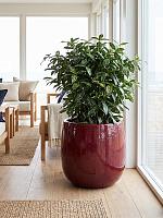 Кашпо Balloon pot mauve D56 H56 см