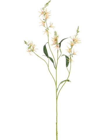 Камассия персиковая искусственная Камассия персиковая искусственная