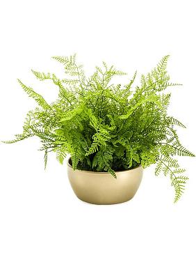 Папоротник лесной в горшке искусственный