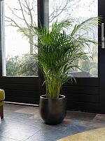 Кашпо Esra pot shiny green D36 H32 см