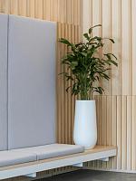 Кашпо Fiberstone nax m matt white D35 H70 см