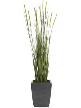 Трава Лисохвост искусственная (без горшка)