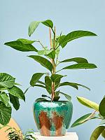 Кашпо Mystic globe metal ocean D32 H30 см