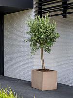 Кашпо Fiberstone block xl, taupe L60 W60 H60 см