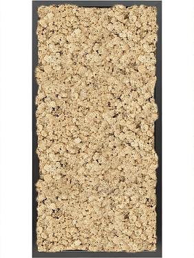 Картина из мха mdf ral 9005 satin gloss 100% reindeer moss (natural) Картина из мха mdf ral 9005 satin gloss 100% reindeer moss (natural)