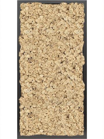 Картина из мха mdf ral 9005 satin gloss 100% reindeer moss (natural) Картина из мха mdf ral 9005 satin gloss 100% reindeer moss (natural)