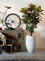 Кашпо Capi nature rib nl vase elegant deluxe ivory D38 H58 см Кашпо Capi nature rib nl vase elegant deluxe ivory D38 H58 см