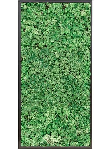 Картина из мха mdf ral 9005 satin gloss 100% reindeer moss (grass green) Картина из мха mdf ral 9005 satin gloss 100% reindeer moss (grass green)