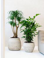 Кашпо Mediterranean athena m chalk white D40 H33 см