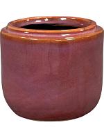 Кашпо Mabel pot cherry D8 H7 см Кашпо Mabel pot cherry D8 H7 см