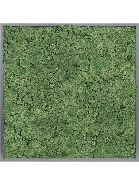 Картина из мха mdf ral 7016 satin gloss 100% reindeer moss (moss green) Картина из мха mdf ral 7016 satin gloss 100% reindeer moss (moss green)