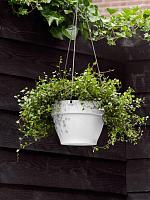 Кашпо подвесное Vibia campana hanging basket white D26 H18 см
