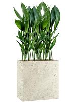 Кашпо Grigio divider antique white L80 W30 H68 см