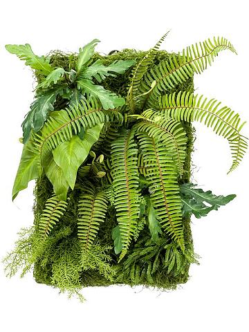 Фитостена из искусственных растений Фитостена из искусственных растений