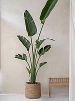 Кашпо Bohemian patt xl straw grass D49 H41 см Кашпо Bohemian patt xl straw grass D49 H41 см