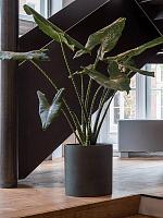 Кашпо Refined max l pine green D50 H49 см