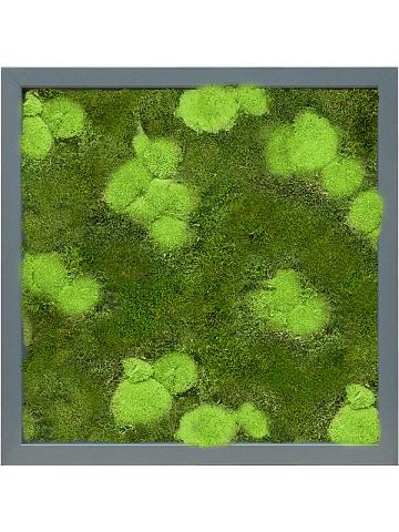 Картина из мха mdf ral 7016 satin gloss 30% ball- and 70% flat moss Картина из мха mdf ral 7016 satin gloss 30% ball- and 70% flat moss