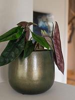 Кашпо Esra pot shiny green D26 H26 см