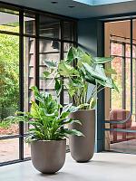 Кашпо Baq seren bay deep mocha D40 H75 см