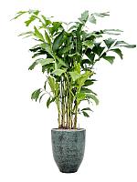 Кашпо One and only pot reactive green D38 H50 см Кашпо One and only pot reactive green D38 H50 см
