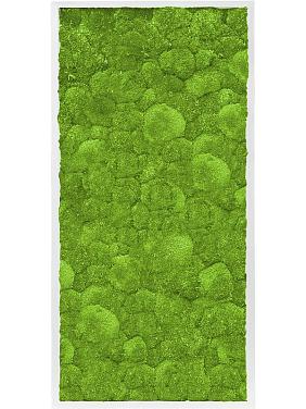 Картина из мха mdf ral 9010 satin gloss 100% ball moss Картина из мха mdf ral 9010 satin gloss 100% ball moss
