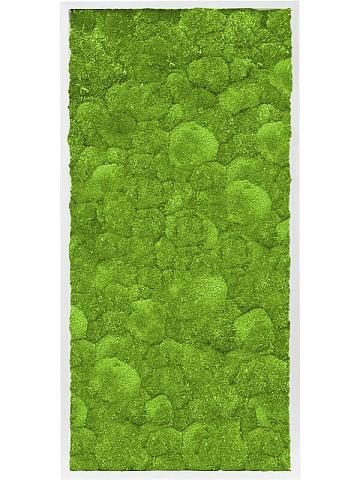 Картина из мха mdf ral 9010 satin gloss 100% ball moss Картина из мха mdf ral 9010 satin gloss 100% ball moss