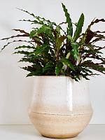 Кашпо Fusion pot nude D24 H22 см