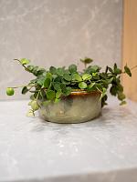 Кашпо Mabel bowl sage D22 H10 см Кашпо Mabel bowl sage D22 H10 см