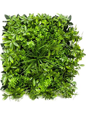 Фитостена из искусственных растений Фитостена из искусственных растений