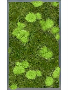 Картина из мха mdf ral 7016 satin gloss 30% ball- and 70% flat moss Картина из мха mdf ral 7016 satin gloss 30% ball- and 70% flat moss