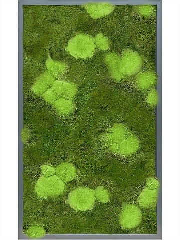 Картина из мха mdf ral 7016 satin gloss 30% ball- and 70% flat moss Картина из мха mdf ral 7016 satin gloss 30% ball- and 70% flat moss