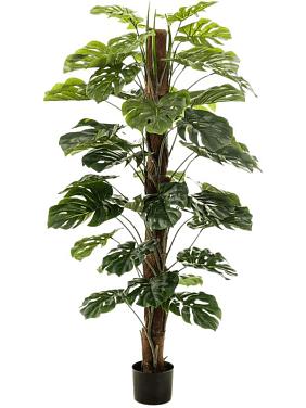 Монстера на опоре искусственная